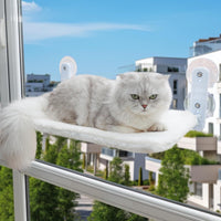 Cat Window Hammock Bed with Suction Cups for Sunbathing, Wall-Mounted Perch for Cats