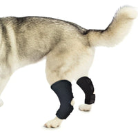 Adjustable Dog Front Leg Brace for Injury Recovery and Joint Protection
