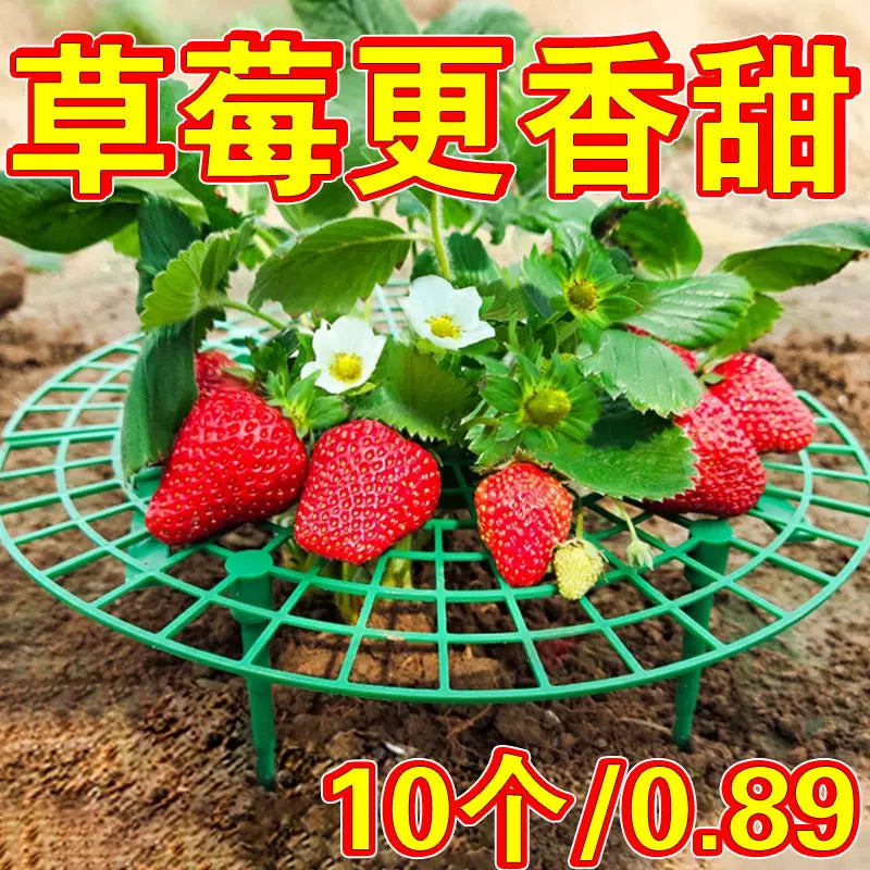 Strawberry Plant Support Stand for Garden and Planters, Prevents Rot and Toppling