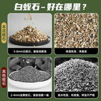 Vermiculite Reptile Egg Incubation Box for Lizards, Geckos, Snakes, and Turtles
