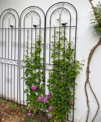 Metal Garden Trellis for Climbing Plants, Roses, Clematis - Outdoor Decorative Arch Support