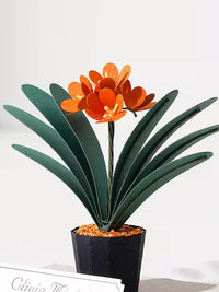 Jeancard 3D Laser-Cut Clivia Paper Model Kit