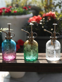 Vintage Thick Glass Plant Mister Spray Bottle for Indoor Plants and Succulents