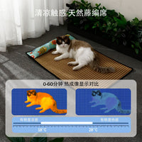 Pet Cooling Mat for Dogs and Cats, Summer Breathable Ice Silk Pad, Universal for All Seasons, Small to Medium Pets