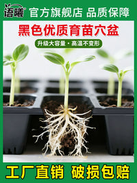 Thickened Seedling Starter Trays for Vegetables, Watermelon, Corn, and Chili Peppers