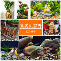 Natural River Gravel Aquarium Substrate for Fish Tanks and Landscaping