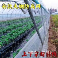 Agricultural Bird Netting for Greenhouses and Orchards