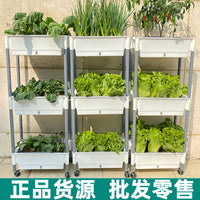 Self-Watering Multi-Layer Planter Box for Balcony Gardening