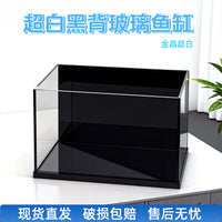 Crystal Clear Black-Backed Glass Aquarium for Desktop Aquascaping