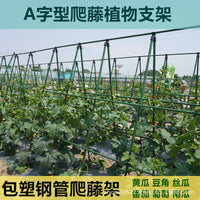 A-Frame Trellis Plant Support for Grapes and Climbing Plants, Coated Steel Tube Garden Frame