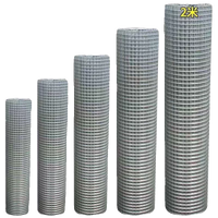 Hot-Dip Galvanized Steel Wire Mesh for Fencing, Poultry Enclosures, and Garden Protection
