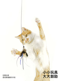 Meowcard Retractable Feather Teaser Wand for Cats, CFA Competition Grade, with Replaceable Attachments