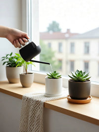 Stainless Steel Mini Watering Can for Indoor Plants, Succulents, and Children - 300ml/450ml