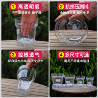 Self-Watering Clear Plastic Planter Pot for Indoor Plants Orchids