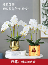 Premium Artificial Phalaenopsis Orchid Flower Arrangement