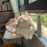 Cat Window Hammock with Suction Cups, Foldable Indoor Sunbathing Perch for Cats
