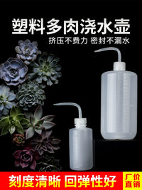 Long Spout Watering Can for Succulents and Indoor Plants, 500ml