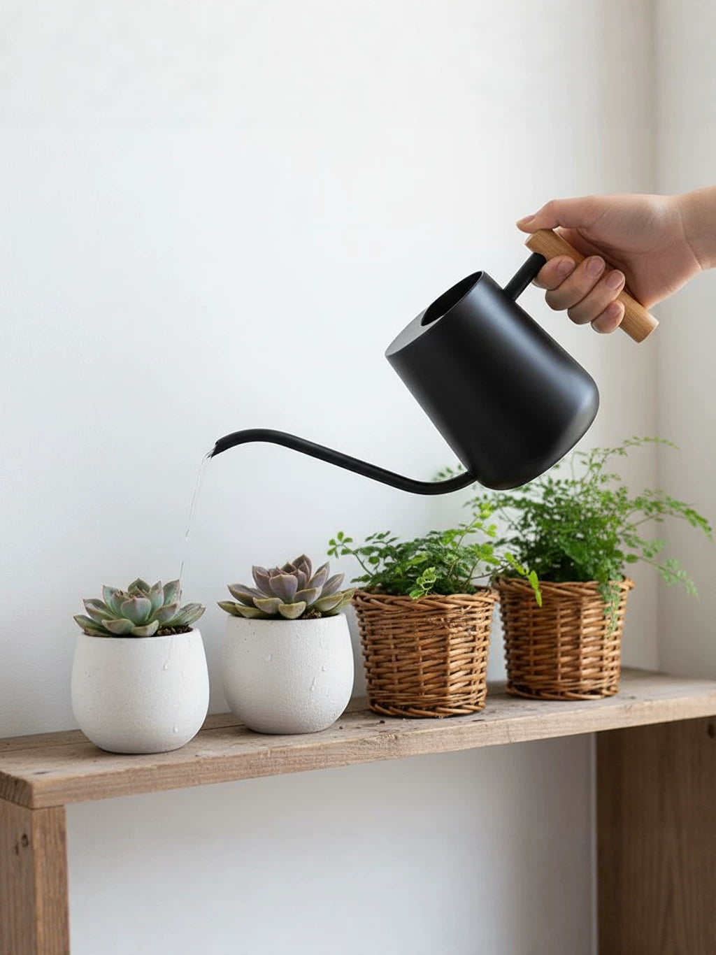 Nordic Style Stainless Steel Watering Can with Wooden Handle, Long Spout, 1000ml
