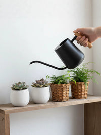 Nordic Style Stainless Steel Watering Can with Wooden Handle, Long Spout, 1000ml
