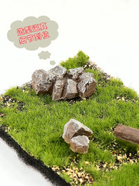 Realistic Model Scenery Grass Mat for Dioramas and DIY Crafts