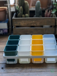 Thickened Plastic Succulent Planter with 15-Cell Drip Tray for Seedling Propagation
