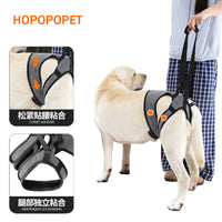 Dog Rear Leg Support Harness for Injured or Senior Dogs with Adjustable Waist