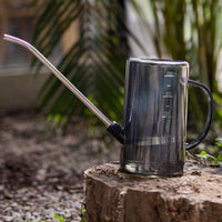 1L Stainless Steel Long Spout Watering Can for Indoor Plants & Gardening