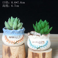 Hand-Painted Ceramic Succulent Planter Pots for Indoor Plants