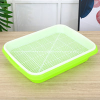 Hydroponic Seedling Tray for Home Use, Soilless Cultivation of Wheatgrass, Cat Grass, and Bean Sprouts