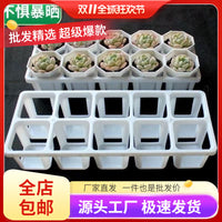 Succulent Planter Tray with 10 Holes and Square Pots for Balcony Gardening