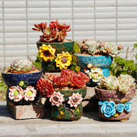 Hand-Painted Ceramic Succulent Planter Pot with Coarse Grains for Multi-Plant Arrangements