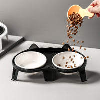 Elevated Ceramic Cat Food and Water Bowl Set with Stand, Tilted Design for Easy Eating, Large Capacity