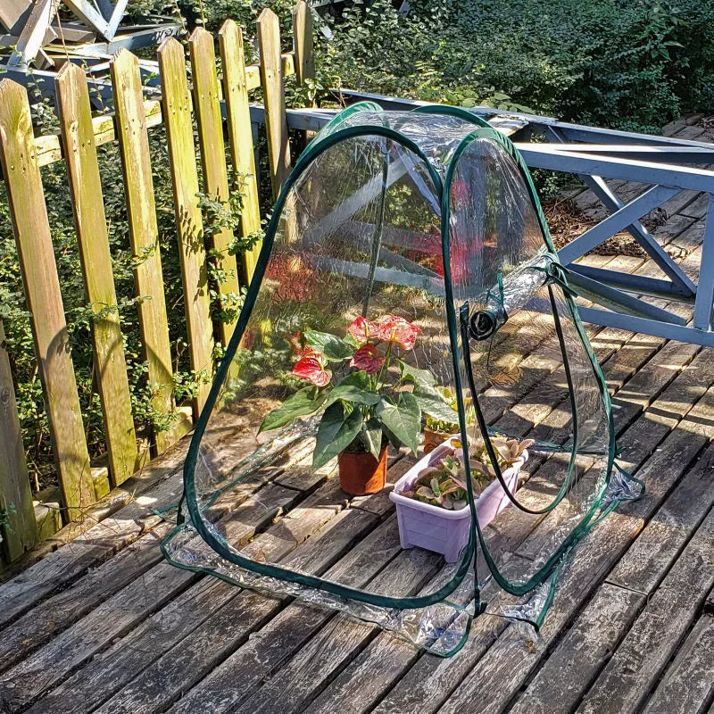 Foldable Mini Greenhouse for Succulents and Plants, Transparent Rainproof and Insulating Plant Cover