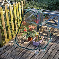 Foldable Mini Greenhouse for Succulents and Plants, Transparent Rainproof and Insulating Plant Cover