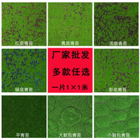 Artificial Moss Mat for Wall Decor and Micro Landscapes