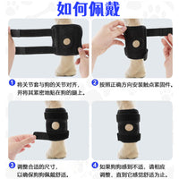 Pet Dog Knee Brace for Injury Support and Lick Prevention