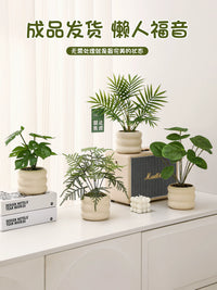 Artificial Bamboo & Money Tree Potted Plants for Desktop Decor