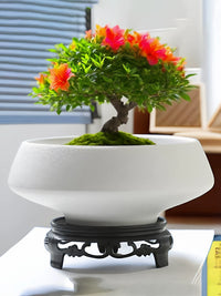 Bergamot Moss Ball Ceramic Planter with Tray, Matte Desktop Hydroponic Pot for Plants