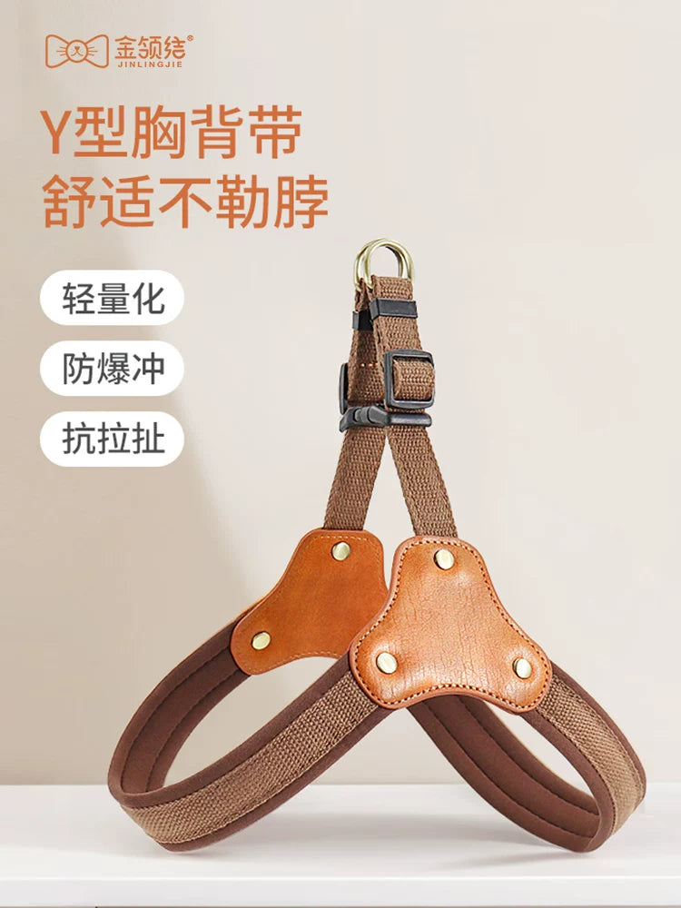 Dog Harness and Leash Set for Small to Medium Dogs - Vest Style for Bichon, Corgi, French Bulldog
