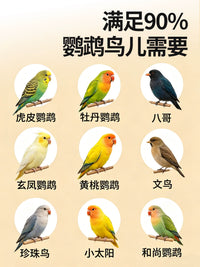 Automatic No-Mess Bird Feeder and Water Dispenser for Parrots and Small Birds