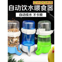 Automatic Water Feeder for Quail, Parrots, Pigeons, and Other Small Birds