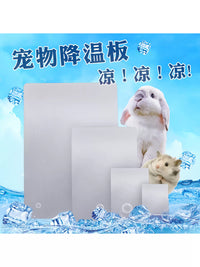 Pet Cooling Aluminum Plate for Small Animals - Hamsters, Chinchillas, Rabbits