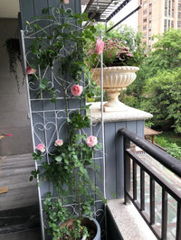 Iron Art Climbing Trellis with Base for Potted Plants, European Style Screen for Balcony & Indoor Use