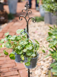 Vintage Wrought Iron Hanging Basket Stand with Base for Balcony Garden Decoration