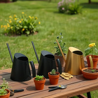 Vintage Stainless Steel Long Spout Watering Can for Indoor Outdoor Plants