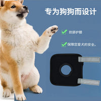 Dog Leg Brace for Injury Recovery and Joint Support, Anti-Lick Sleeve for Post-Surgery Protection