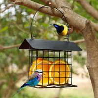 Hanging Metal Bird Feeder for Outdoor Garden & Yard