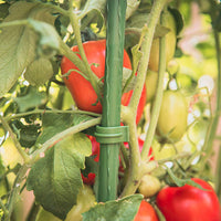 Tomato Cage Plant Support Stakes for Garden and Patio, Coated Steel Pipe Trellis for Climbing Plants