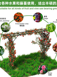 Garden Arch Arbor Pergola for Climbing Plants and Vines, Outdoor Lawn Backyard Support Trellis