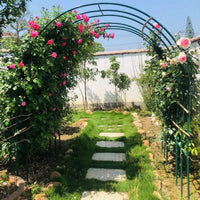 Iron Arch Trellis for Climbing Plants, Outdoor Garden Arbor for Roses and Vines